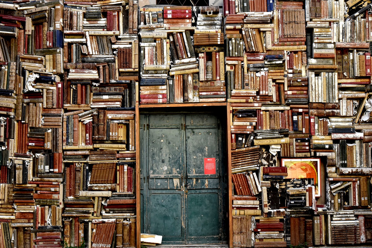 Image by Photo of old books on shelves with door in the middle.Nino Carè from Pixabay 